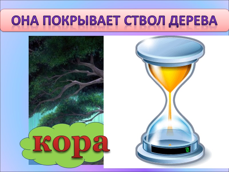 Она покрывает ствол дерева кора